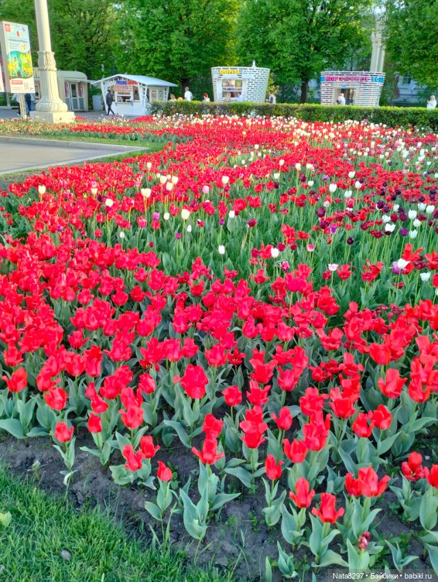 Майские прогулки с Плюшечками. Часть 2. Лидия от Heidi Plusczok