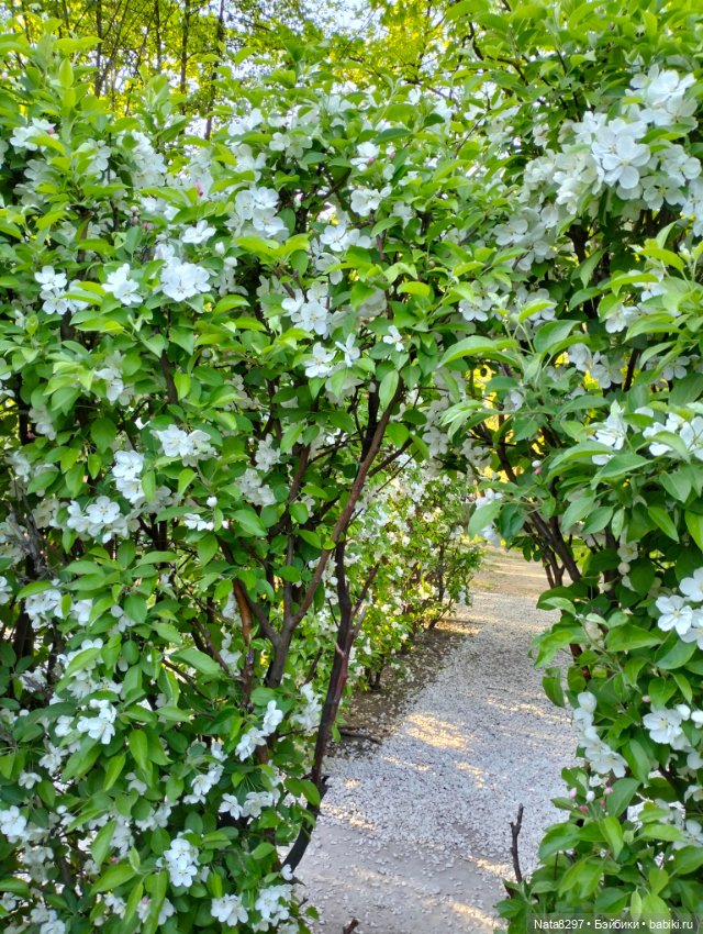 Майские прогулки с Плюшечками. Часть 2. Лидия от Heidi Plusczok