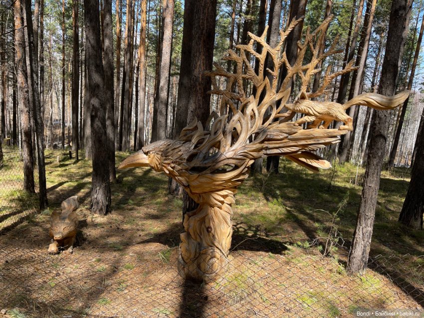 Прогулка с Френки по базе отдыха Лукоморье