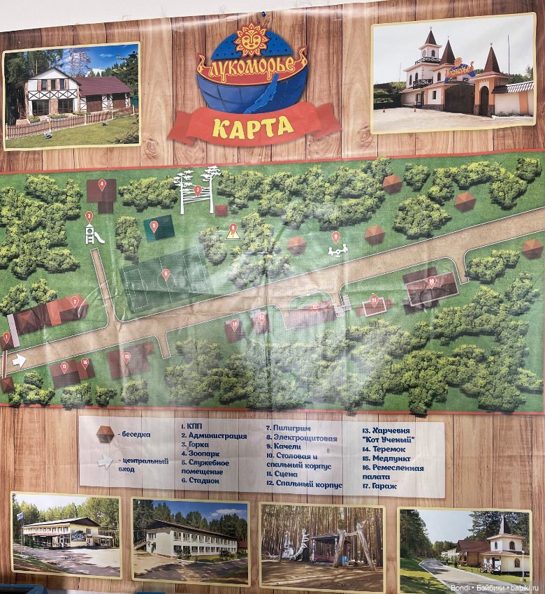 Прогулка с Френки по базе отдыха Лукоморье (фото 6)