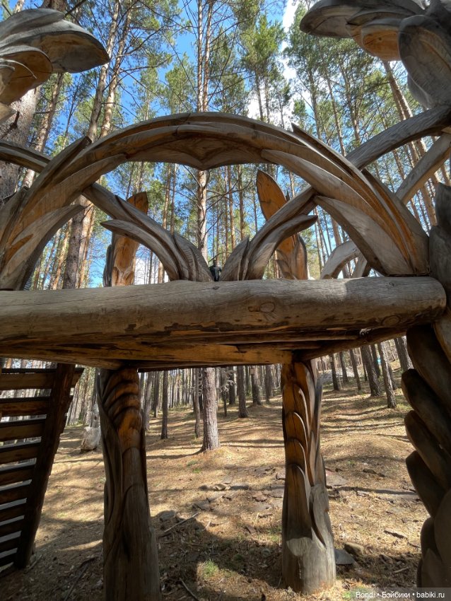 Прогулка с Френки по базе отдыха Лукоморье (фото 10)