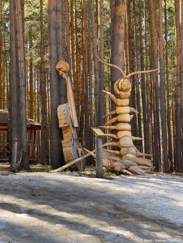 Прогулка с Френки по базе отдыха Лукоморье (фото 8)