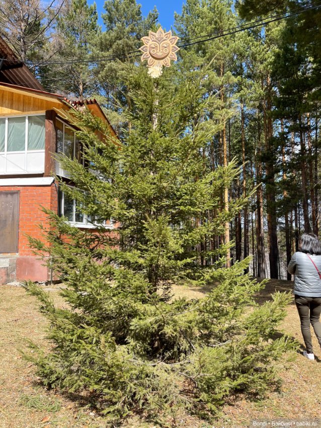 Прогулка с Френки по базе отдыха Лукоморье (фото 7)