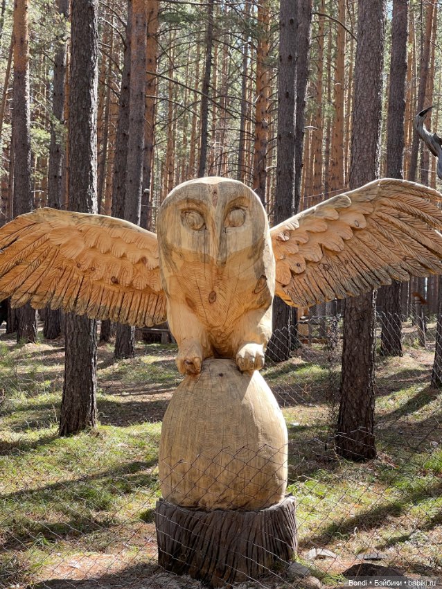 Прогулка с Френки по базе отдыха Лукоморье