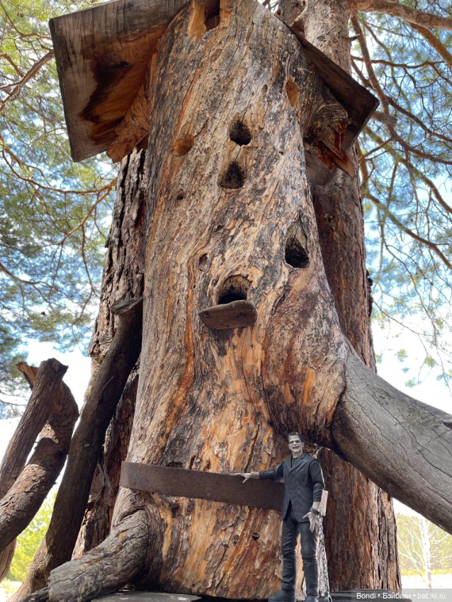 Прогулка с Френки по базе отдыха Лукоморье