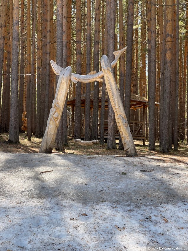 Прогулка с Френки по базе отдыха Лукоморье (фото 9)