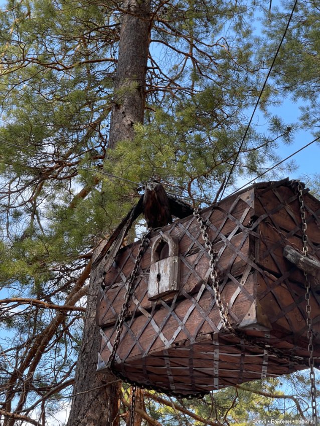 Прогулка с Френки по базе отдыха Лукоморье