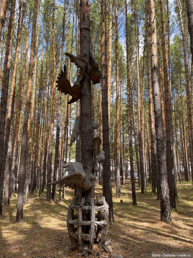 Прогулка с Френки по базе отдыха Лукоморье