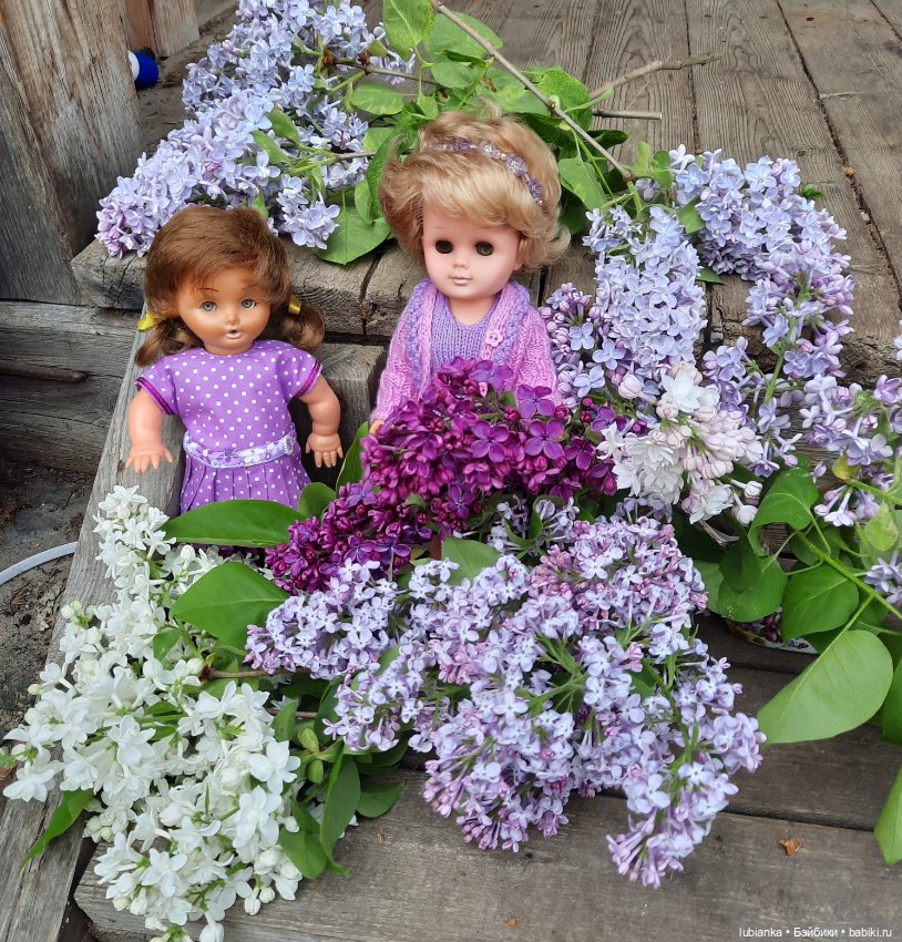 Немного сиреневого💜 — Винтажные куклы ГДР (Немки): Бигги