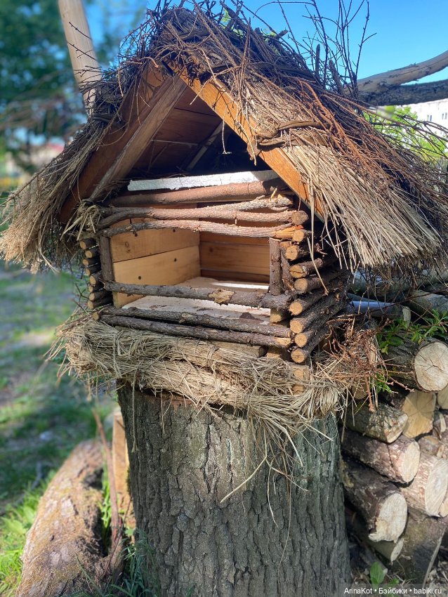 Неизвестный Калининград — Туризм и путешествия: фотоотчеты из поездок (фото 6)