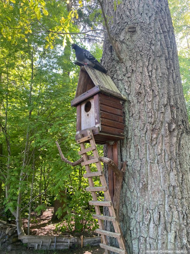 Неизвестный Калининград — Туризм и путешествия: фотоотчеты из поездок (фото 3)