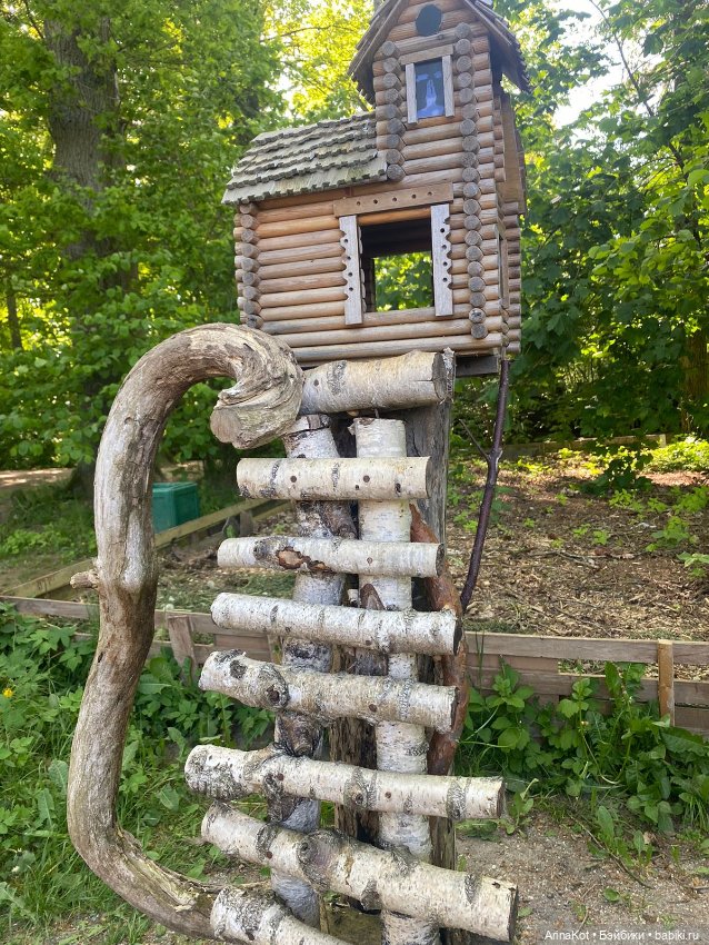 Неизвестный Калининград — Туризм и путешествия: фотоотчеты из поездок (фото 2)