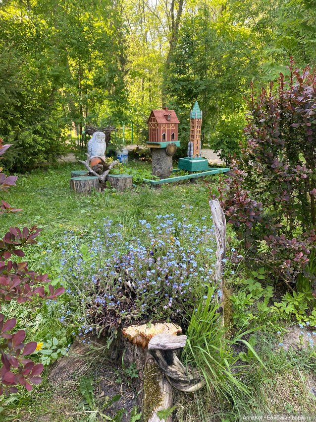 Неизвестный Калининград — Туризм и путешествия: фотоотчеты из поездок (фото 7)