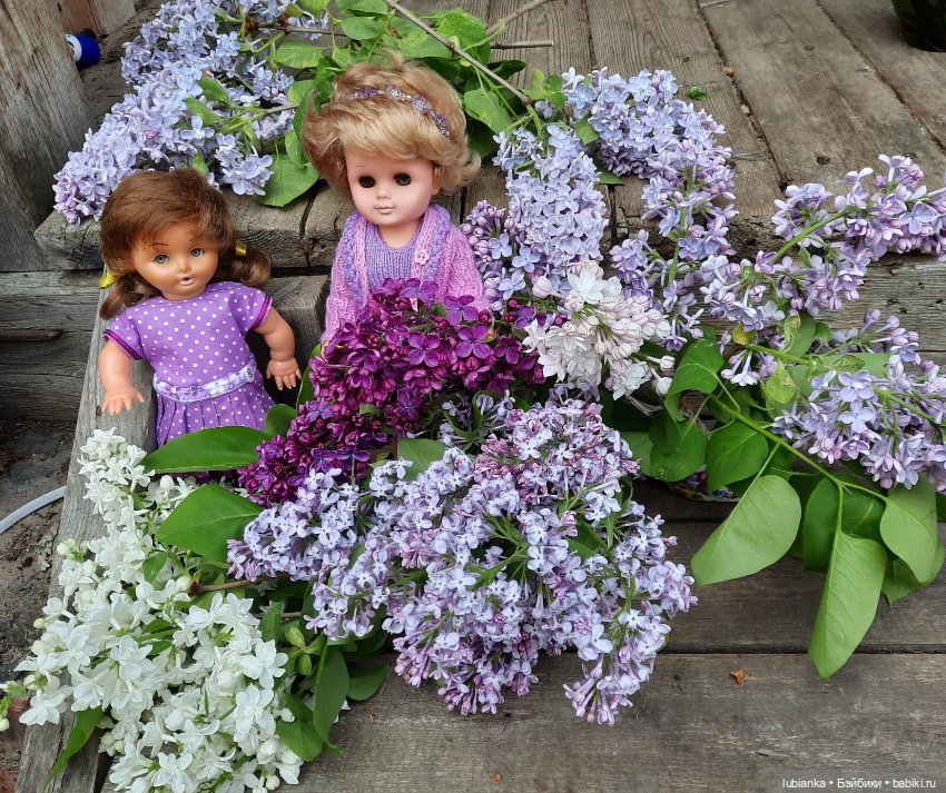 Немного сиреневого💜 — Винтажные куклы ГДР (Немки): Бигги