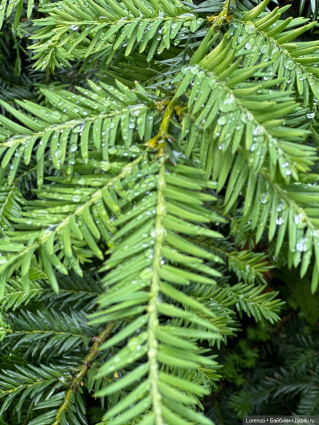 День защиты детей — Интересные игрушки и фигурки (разное): редкие