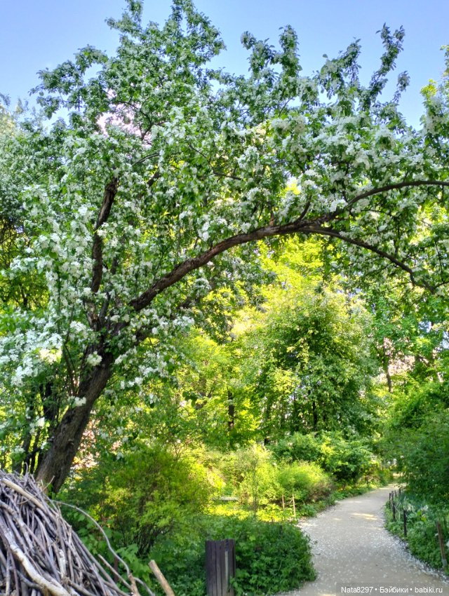 Майские прогулки с Плюшечками, часть 3. Аптекарский огород. Селин и Карли от Heidi Plusczok