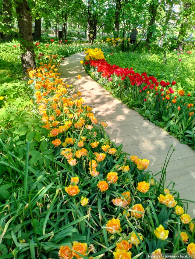 Майские прогулки с Плюшечками, часть 3. Аптекарский огород. Селин и Карли от Heidi Plusczok