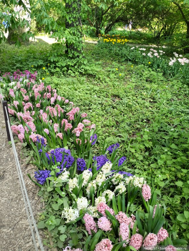 Майские прогулки с Плюшечками, часть 3. Аптекарский огород. Селин и Карли от Heidi Plusczok