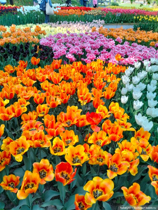 Майские прогулки с Плюшечками, часть 3. Аптекарский огород. Селин и Карли от Heidi Plusczok (фото 10)