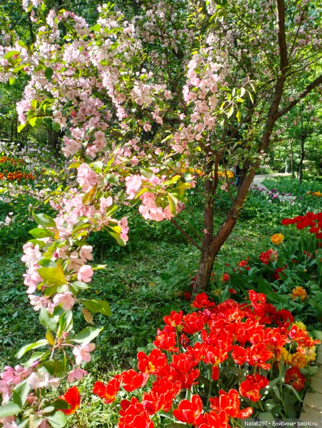 Майские прогулки с Плюшечками, часть 3. Аптекарский огород. Селин и Карли от Heidi Plusczok