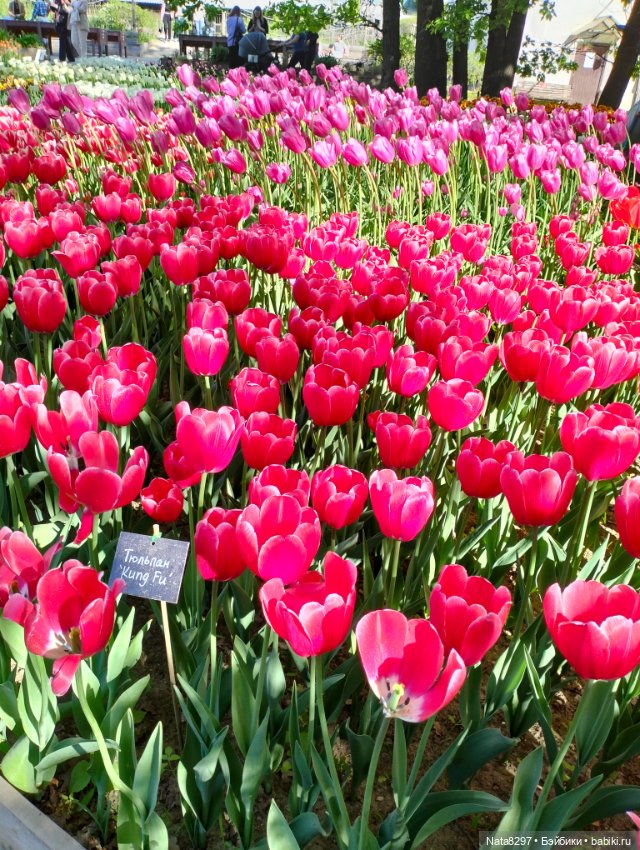 Майские прогулки с Плюшечками, часть 3. Аптекарский огород. Селин и Карли от Heidi Plusczok