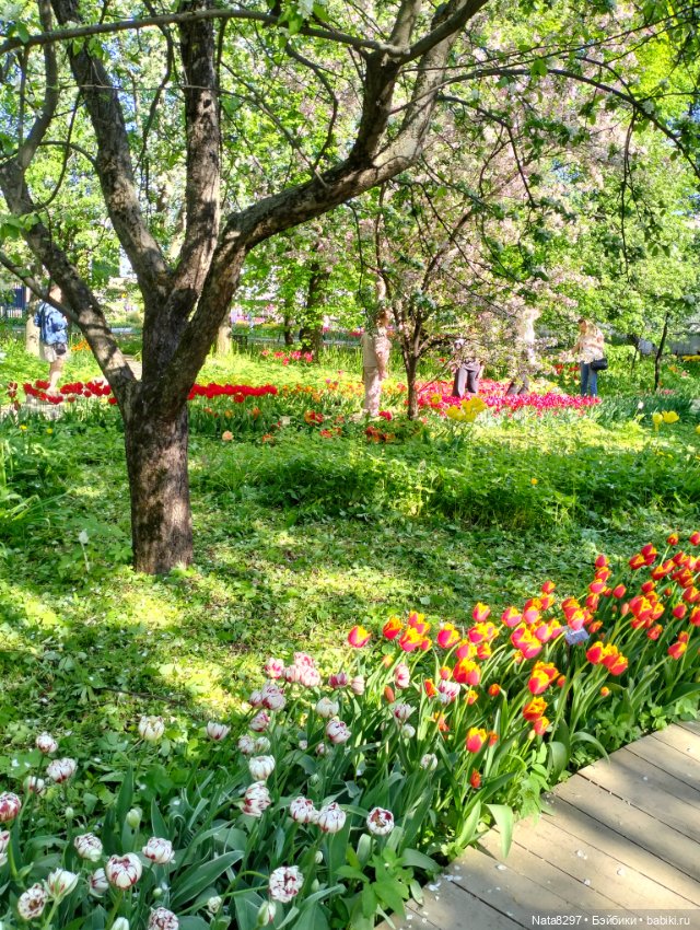 Майские прогулки с Плюшечками, часть 3. Аптекарский огород. Селин и Карли от Heidi Plusczok