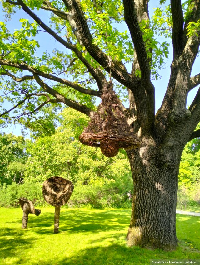 Майские прогулки с Плюшечками, часть 3. Аптекарский огород. Селин и Карли от Heidi Plusczok (фото 2)