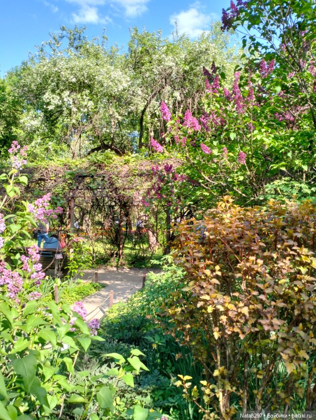 Майские прогулки с Плюшечками, часть 3. Аптекарский огород. Селин и Карли от Heidi Plusczok