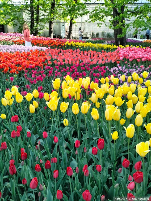 Майские прогулки с Плюшечками, часть 3. Аптекарский огород. Селин и Карли от Heidi Plusczok