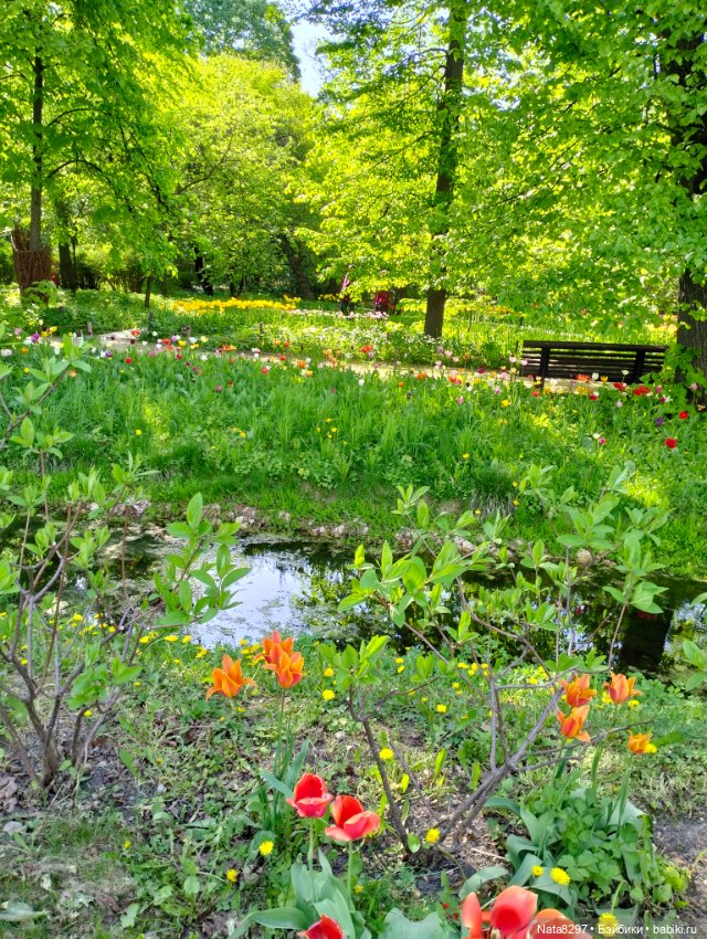 Майские прогулки с Плюшечками, часть 3. Аптекарский огород. Селин и Карли от Heidi Plusczok