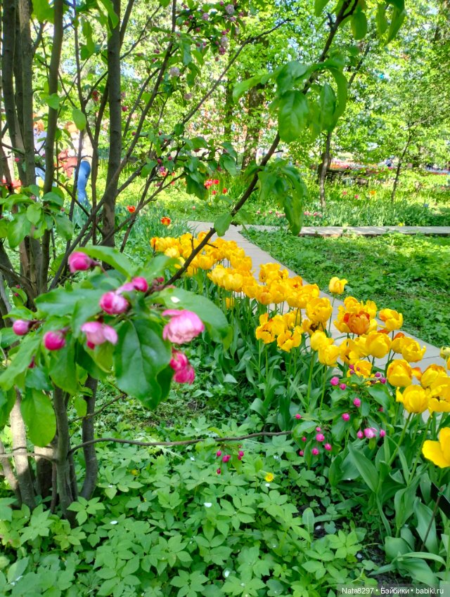 Майские прогулки с Плюшечками, часть 3. Аптекарский огород. Селин и Карли от Heidi Plusczok