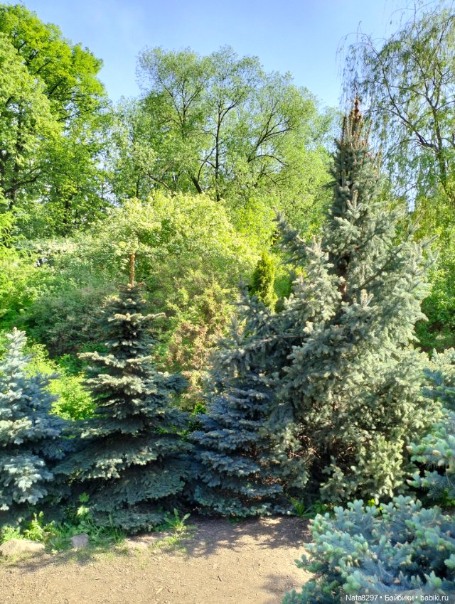 Майские прогулки с Плюшечками, часть 3. Аптекарский огород. Селин и Карли от Heidi Plusczok (фото 6)