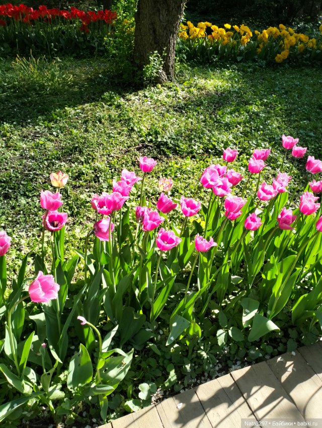 Майские прогулки с Плюшечками, часть 3. Аптекарский огород. Селин и Карли от Heidi Plusczok