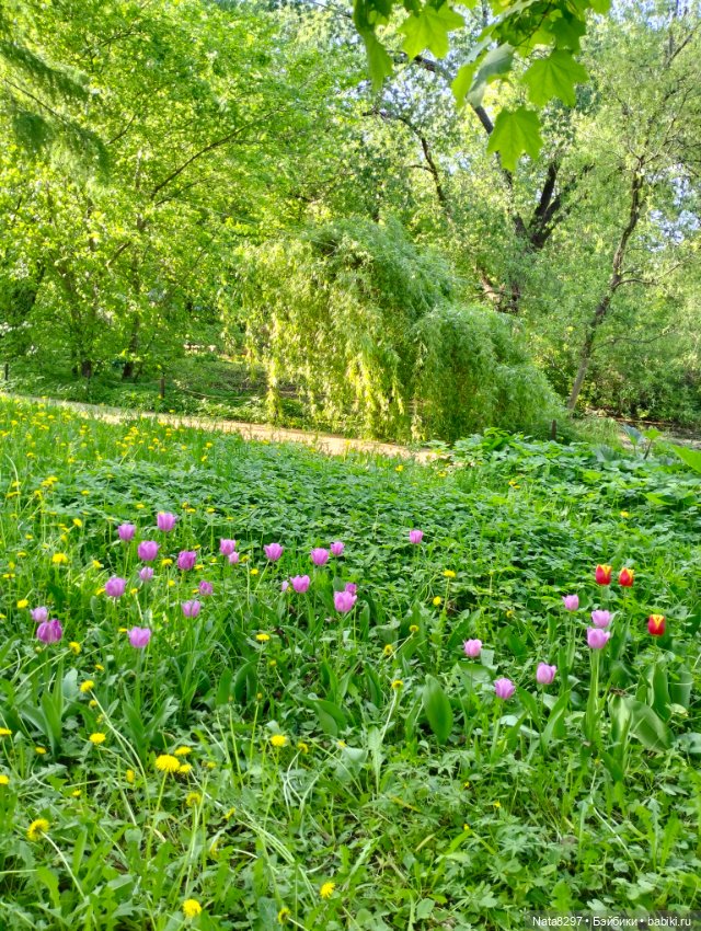 Майские прогулки с Плюшечками, часть 3. Аптекарский огород. Селин и Карли от Heidi Plusczok