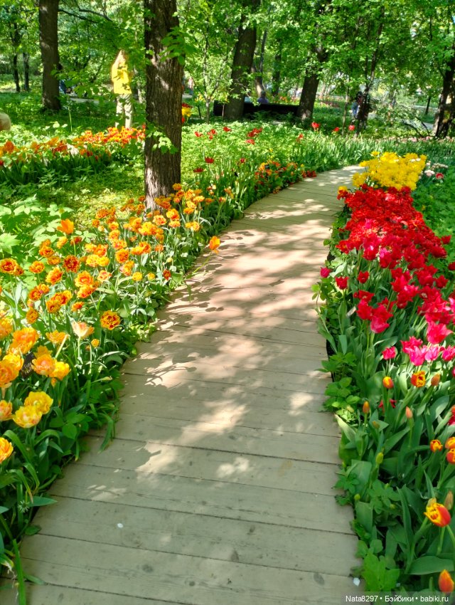 Майские прогулки с Плюшечками, часть 3. Аптекарский огород. Селин и Карли от Heidi Plusczok