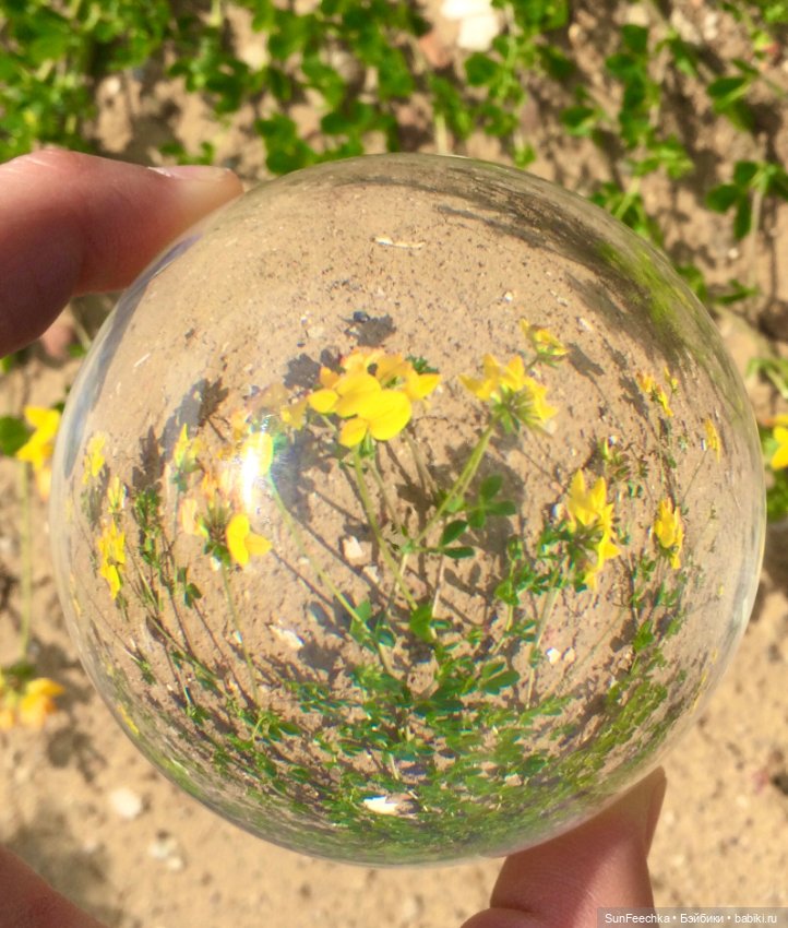 Микромир в объективе — Красивая природа и цветы: фото пейзажей