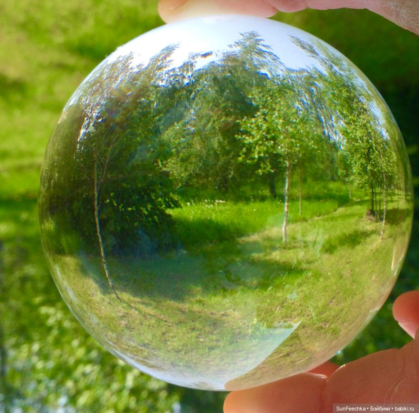 Микромир в объективе — Красивая природа и цветы: фото пейзажей (фото 7)