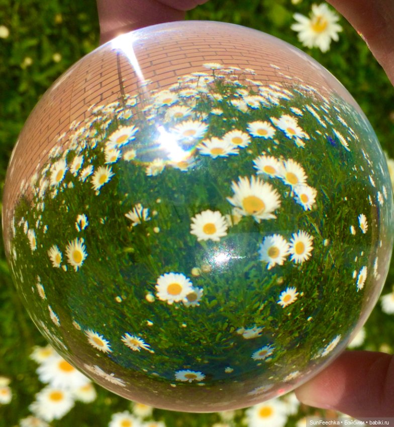 Микромир в объективе — Красивая природа и цветы: фото пейзажей (фото 2)