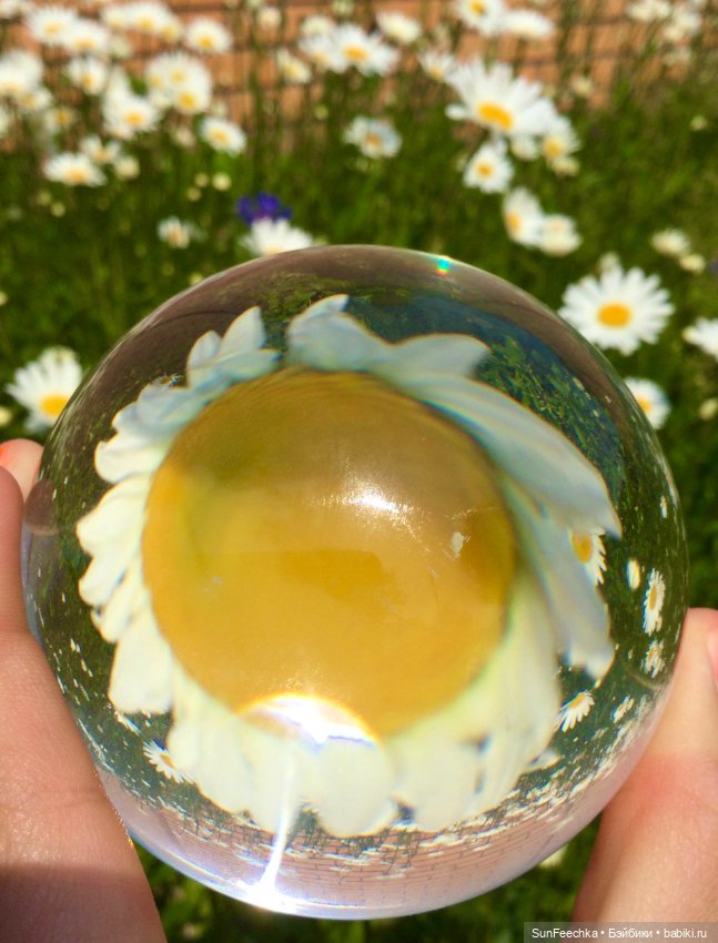 Микромир в объективе — Красивая природа и цветы: фото пейзажей