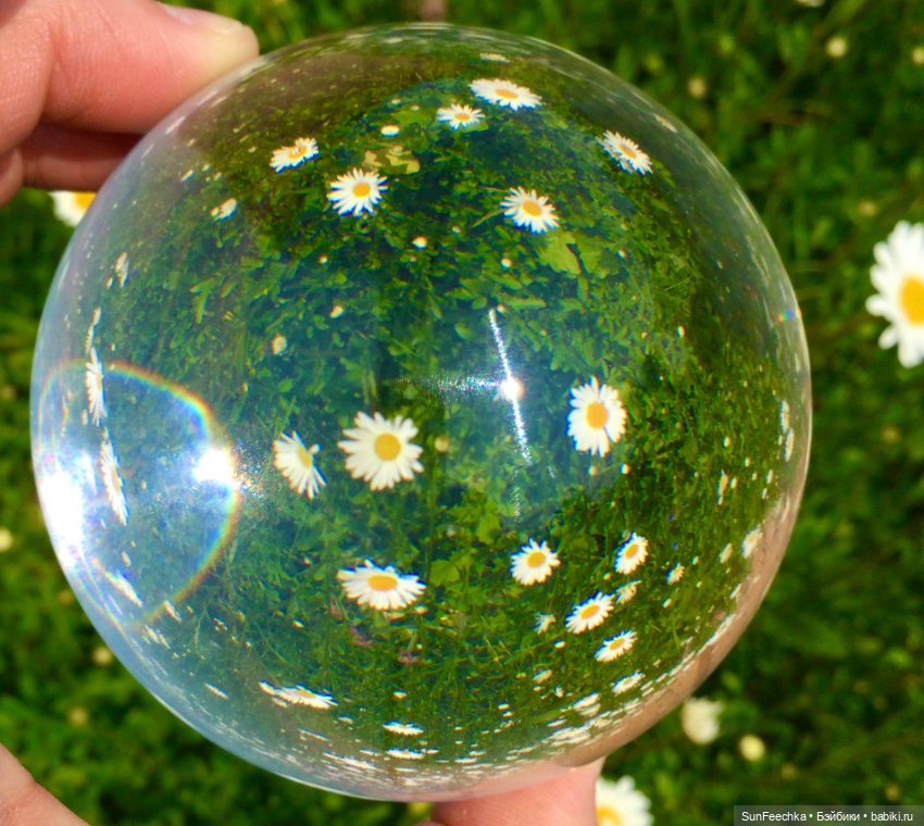 Микромир в объективе — Красивая природа и цветы: фото пейзажей (фото 3)