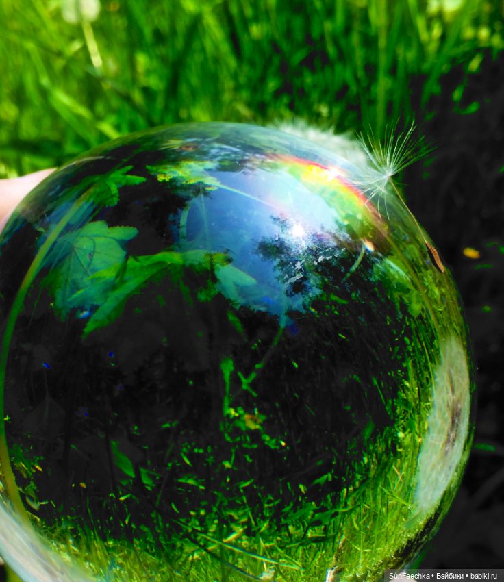 Микромир в объективе — Красивая природа и цветы: фото пейзажей