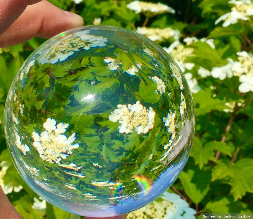 Микромир в объективе — Красивая природа и цветы: фото пейзажей (фото 5)