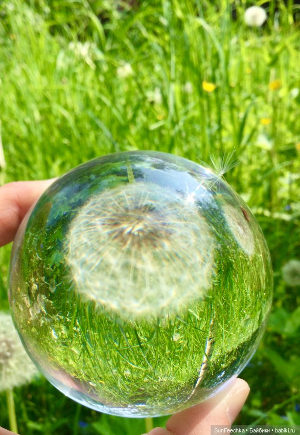 Микромир в объективе — Красивая природа и цветы: фото пейзажей