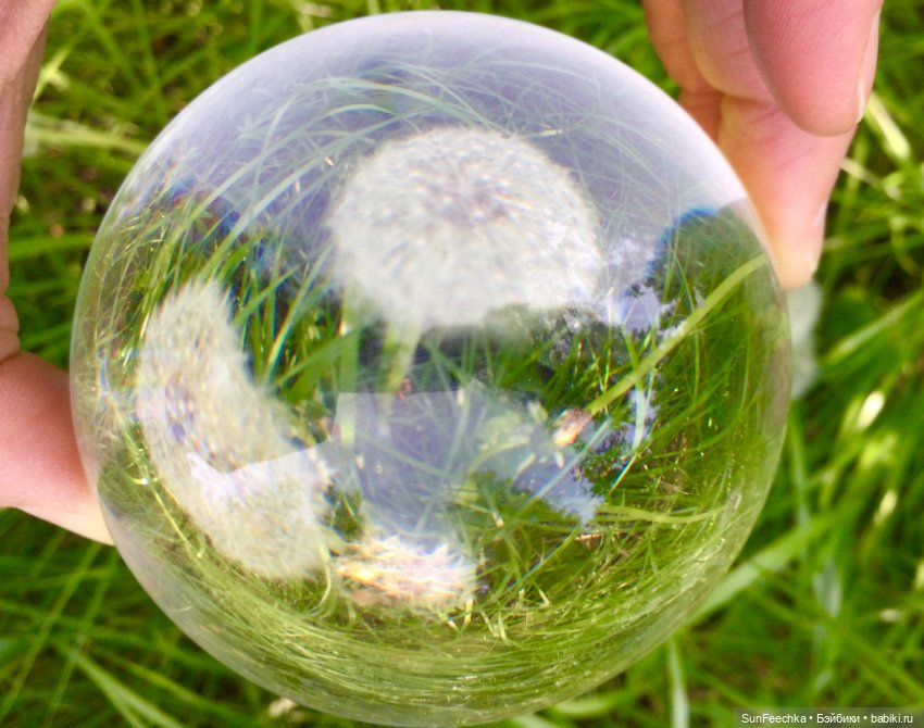 Микромир в объективе — Красивая природа и цветы: фото пейзажей (фото 9)