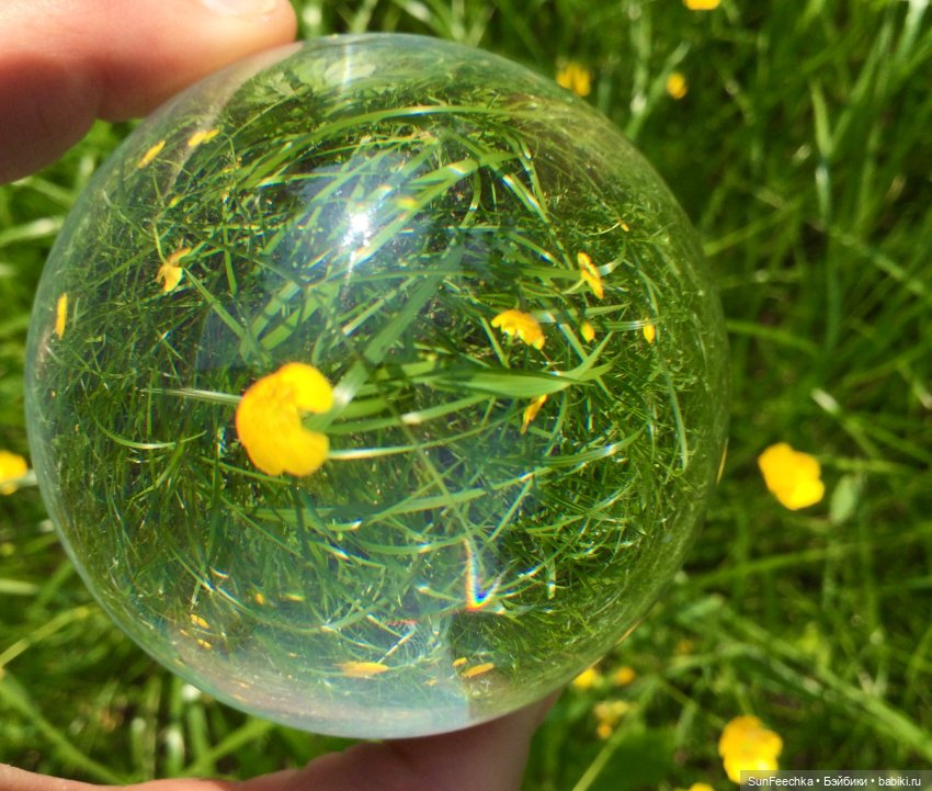 Микромир в объективе — Красивая природа и цветы: фото пейзажей (фото 10)