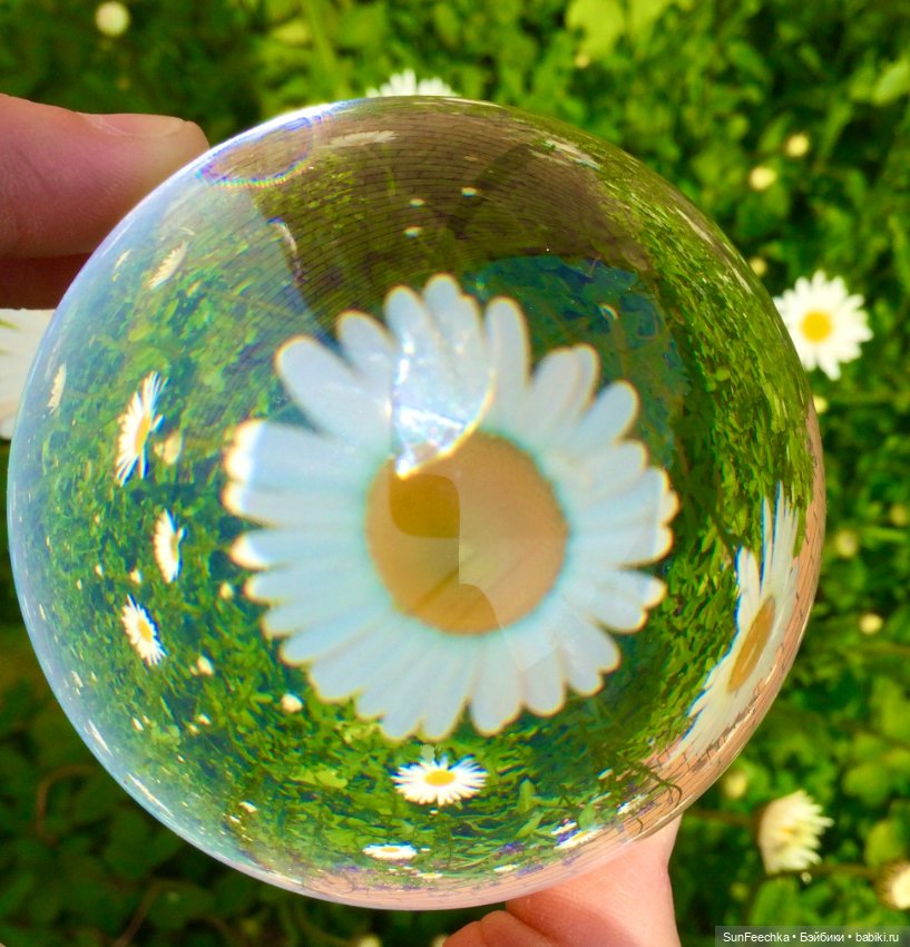 Микромир в объективе — Красивая природа и цветы: фото пейзажей (фото 4)