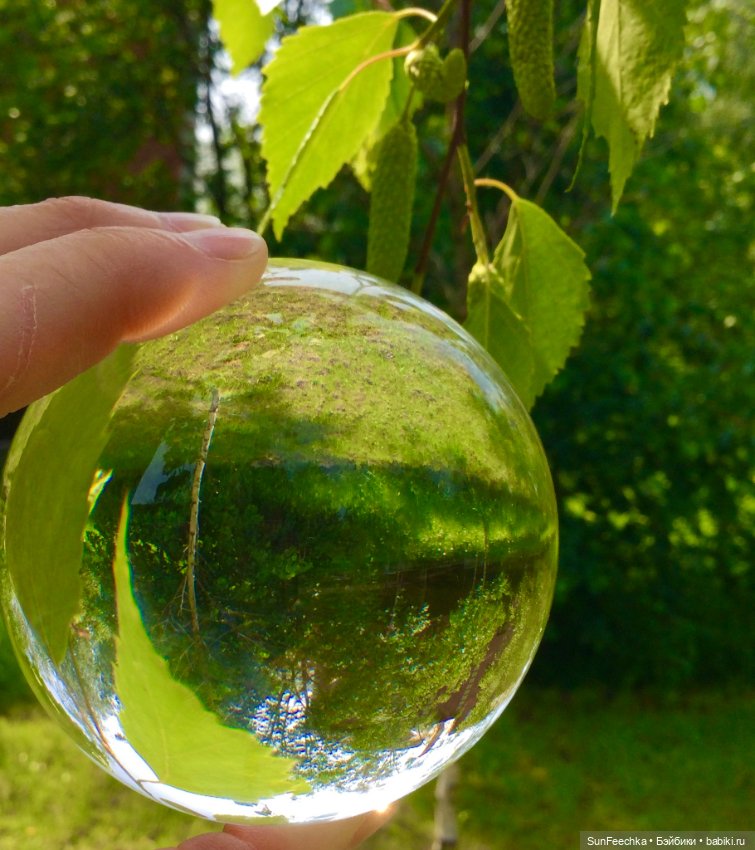 Микромир в объективе — Красивая природа и цветы: фото пейзажей (фото 8)