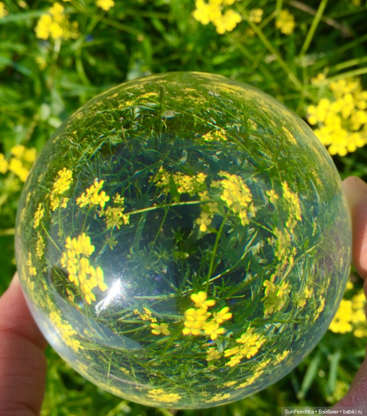 Микромир в объективе — Красивая природа и цветы: фото пейзажей