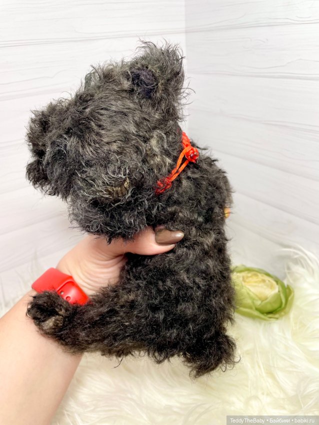 Ódin 🐾🐶 — Реалистичные игрушки и звери (Натюр): собаки