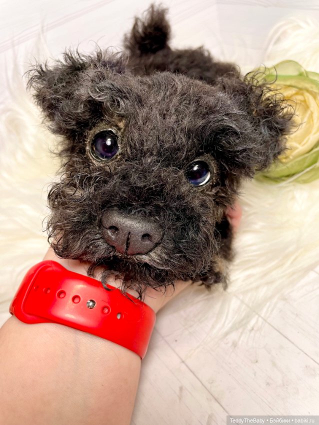 Ódin 🐾🐶 — Реалистичные игрушки и звери (Натюр): собаки (фото 5)